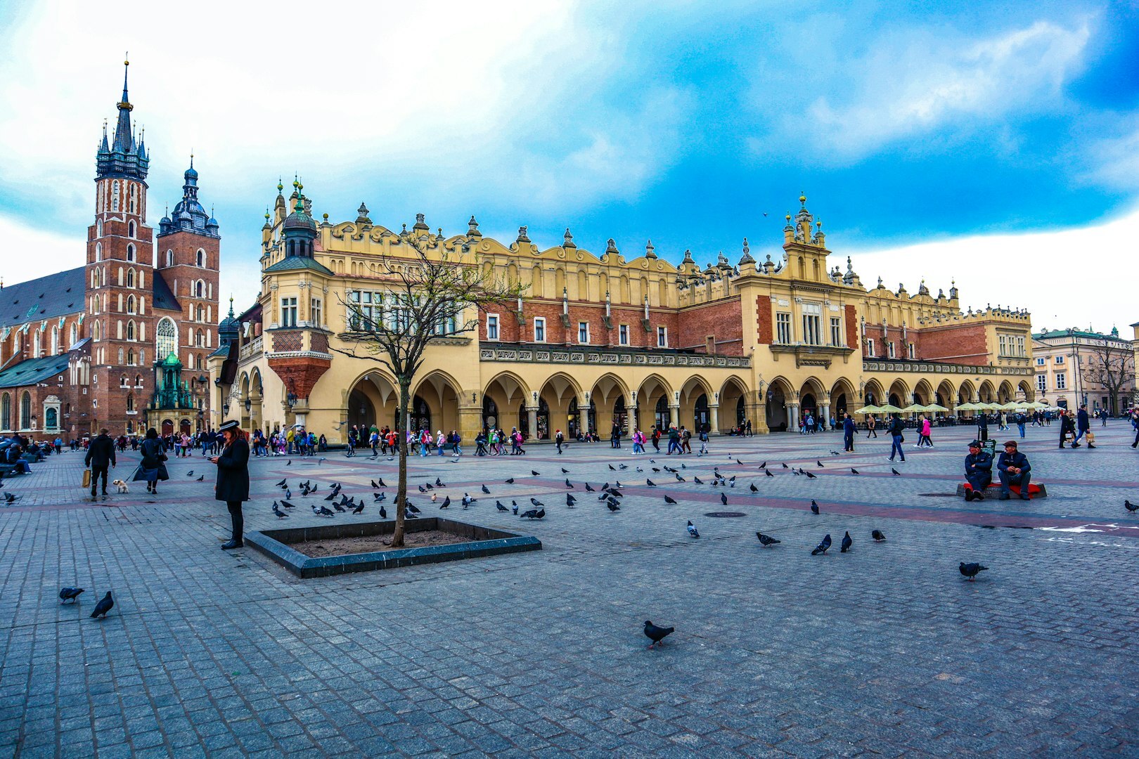tło sekcji Detektyw Kraków
